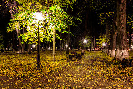 秋天夜公园 黄叶落下人行道小路途径长椅灯笼路面景观森林叶子城市图片