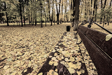 叶子秋天和长凳一起掉进公园森林金子晴天路面场景环境树叶长椅落叶橙子图片
