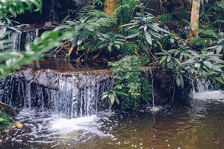 花园公园中的水瀑和池塘植物树风景树叶叶子公园运动环境瀑布绿色图片