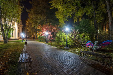 秋天夜公园 黄叶落下人行道途径景观长椅路面小路森林季节街道城市图片
