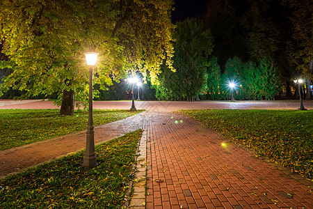 秋天夜公园 黄叶落下小路叶子长椅景观灯笼花园植物街道城市路面背景图片