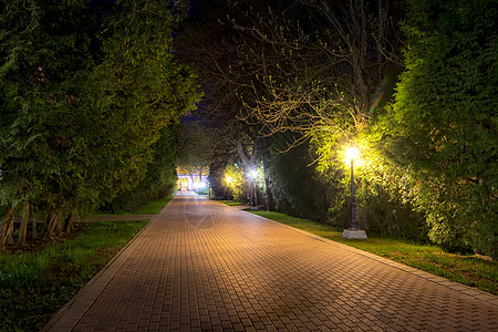 夏天的夜间公园小路路面城市叶子风景街道季节灯笼正方形植物图片
