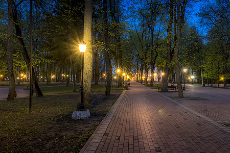 夏天的夜间公园路面灯笼景观绿色长椅小路植物场景叶子途径图片