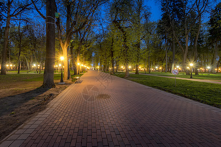 夏天的夜间公园人行道叶子花园季节途径景观绿色小路城市植物图片