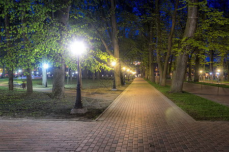 夏天的夜间公园正方形途径季节城市植物长椅风景灯笼花园景观图片