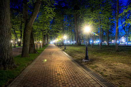 夏天的夜间公园街道景观风景路面花园场景长椅绿色叶子人行道图片