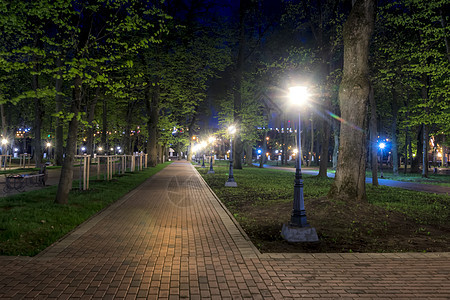 夏天的夜间公园小路灯笼长椅景观城市植物绿色叶子街道花园图片