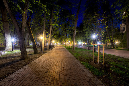 夏天的夜间公园花园景观绿色灯笼路面风景场景城市途径叶子图片