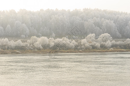 雾中河水边缘季节水平叶子反射美化天气自然薄雾温度图片