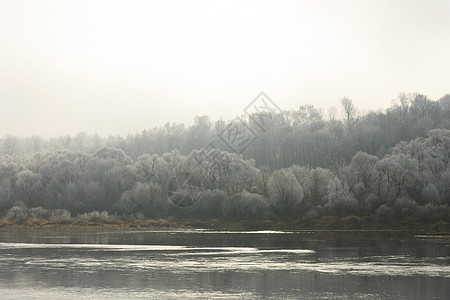 雾中河水季节天气边缘自然反射叶子美化薄雾水平温度图片