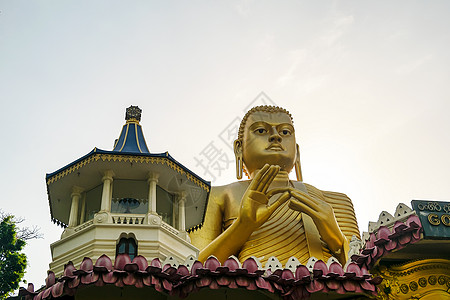 俯视丹布调制解调器寺庙的金佛像旅行雕像纪念碑信仰艺术佛教徒旅游宗教天空崇拜图片