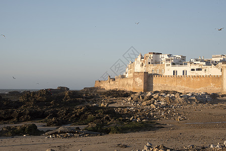 摩洛哥沿海历史长城的Essaouira镇E悬崖海岸蓝色天空岩石堡垒旅游海鸥地标卵石图片