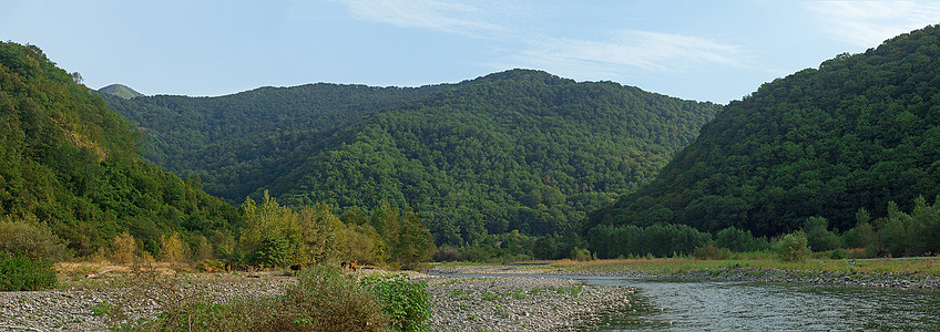 山区和山山河绿色森林溪流河床石头图片