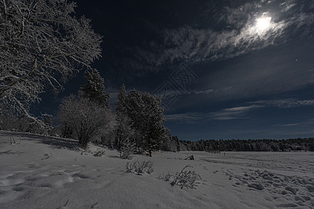 月光的寒冬风景 森林和湖泊在蓝石上蓝色天气星系场景天空云杉季节星星月亮树木图片