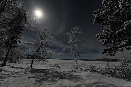 月光的寒冬风景 森林和湖泊在蓝石上漂移雪橇星星场景月亮蓝色天气天空云杉季节图片
