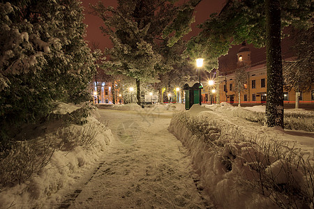 夜间冬季公园场景树木木头长椅季节小路森林正方形降雪蓝色图片