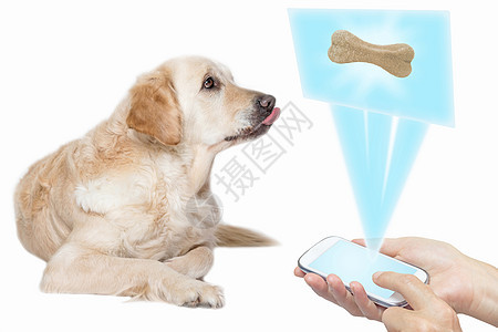狗与技术概念图片