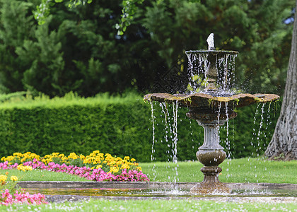 公共花园古董喷泉图片