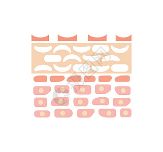 皮肤受伤皮肤的剖面图真皮图表水分卫生治疗护理障碍细胞信息皮肤科图片