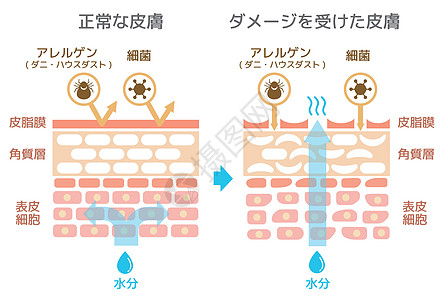 大小对比图图片_大小对比图素材_大小对比图高清图片_摄图网图片下载