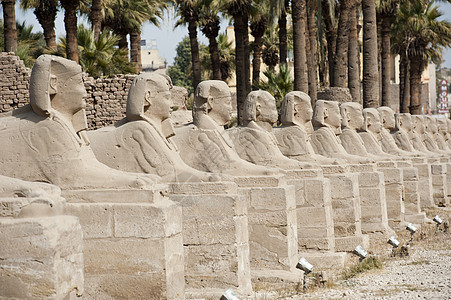 卢克索寺的斯芬克斯一行旅游大街纪念碑天空人面蓝色历史象形文字法老图片