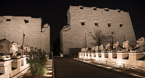 晚上在卢克索的卡纳克寺庙声光景点建筑旅行旅游吸引力雕刻游客历史文字图片
