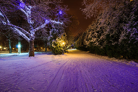 夜间冬季公园小路季节长椅木头花环场景降雪正方形森林树木图片