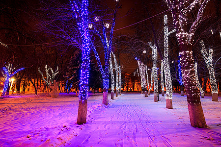 夜间冬季公园降雪花环树木长椅蓝色季节场景小路森林正方形图片