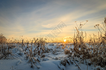 美丽的夕阳 冬季有冰覆盖的青草场景环境冻结晴天日落场地太阳天空阳光公园图片