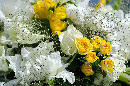 白色和黄色花朵 在婚礼花卉装饰奢华婚姻花束风格公司庆典玫瑰新娘蓝色图片