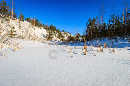 冬季下雪覆盖的山丘景观场景松树蓝色荒野阳光衬套天空森林日落池塘图片