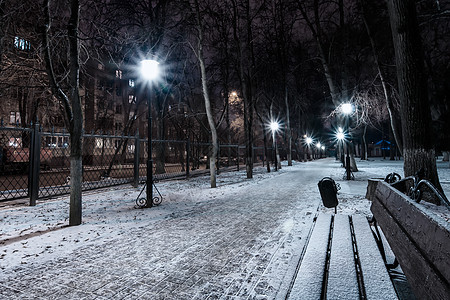 冬天的夜间公园下着雪树木场景花环公园季节蓝色森林木头小路降雪图片