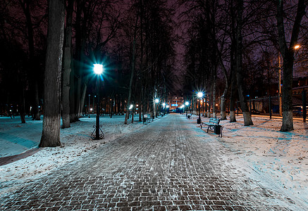 冬天的夜间公园下着雪花环小路公园降雪长椅场景蓝色木头森林季节背景