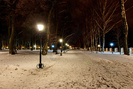 冬天的夜间公园下着雪场景降雪森林木头树木花环正方形季节公园长椅图片