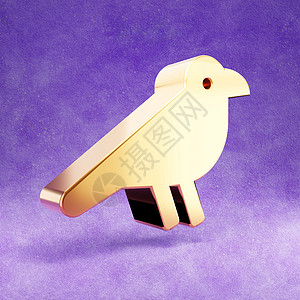 鸟图标 紫色天鹅绒背景上孤立的金色光泽乌鸦鸟符号图片