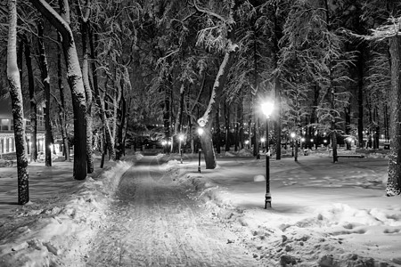 冬天晚上走在城里 单色的蓝色公园季节花环小路树木正方形长椅降雪场景背景图片