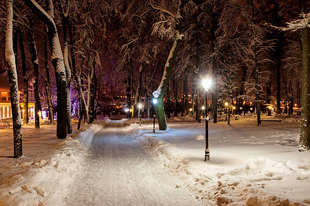 冬天晚上走在城市的路上公园森林季节树木场景小路花环正方形蓝色木头图片