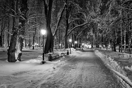 冬天晚上走在城里 单色的季节花环降雪公园场景正方形长椅蓝色木头树木背景图片