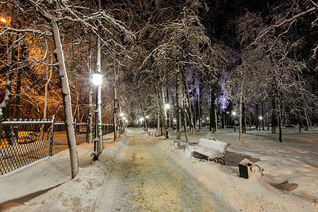 冬季公园在晚上小路蓝色长椅场景降雪花环木头季节正方形森林图片