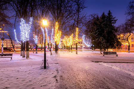 夜间冬季公园 有圣诞节装饰品 灯光 长椅 人行道和树木降雪蓝色花环季节小路场景正方形木头路面森林图片
