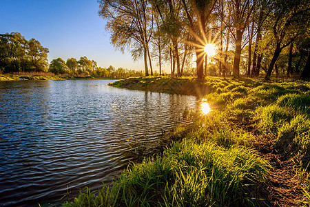 黄昏在有柳树的河上叶子绿色天空池塘风景日落季节蓝色太阳阳光图片