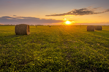 夏天晚上的日落时 田野里有干草堆金子日出农业稻草农场蓝色天空食物农村土地图片