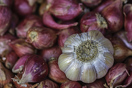 大蒜和洋葱水平维生素食物蔬菜营养红色美食植物白色团体图片