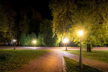 秋天夜公园 黄叶落下森林景观场景路面长椅花园灯笼植物小路叶子图片