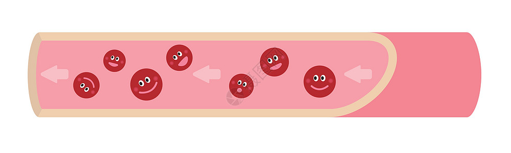 健康血管的卡通插图图片