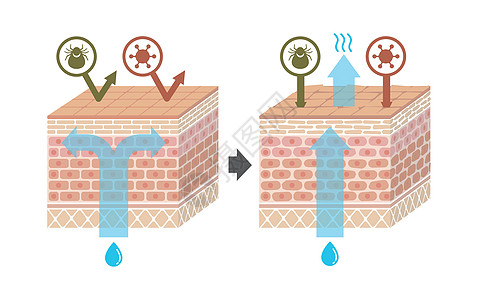 皮肤剖面图 健康皮肤与受伤滑雪者保护效果对比图细菌治疗皮肤科信息商业器官损害护理过敏皮脂图片