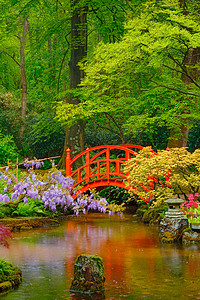 日式花园 荷兰海牙Clingendael公园观光地标花坛庭园活力游客公园景点禅意植物图片
