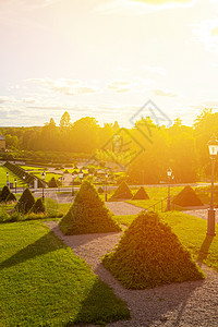 乌普萨拉大学附近的林瑙斯花园图片