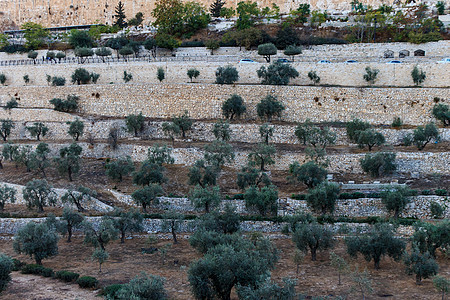 以色列Jurasalim老城历史寺庙岩石天际街道文化地标宗教城市景观图片