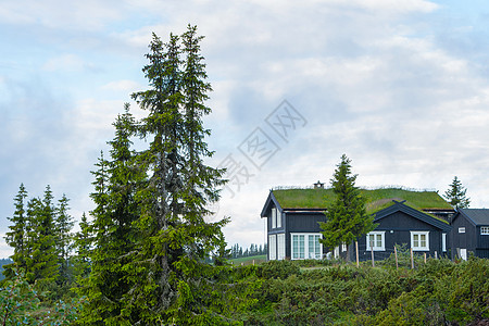 挪威有草屋顶的房屋小屋旅游房子农家旅行乡村农村村庄生态国家图片